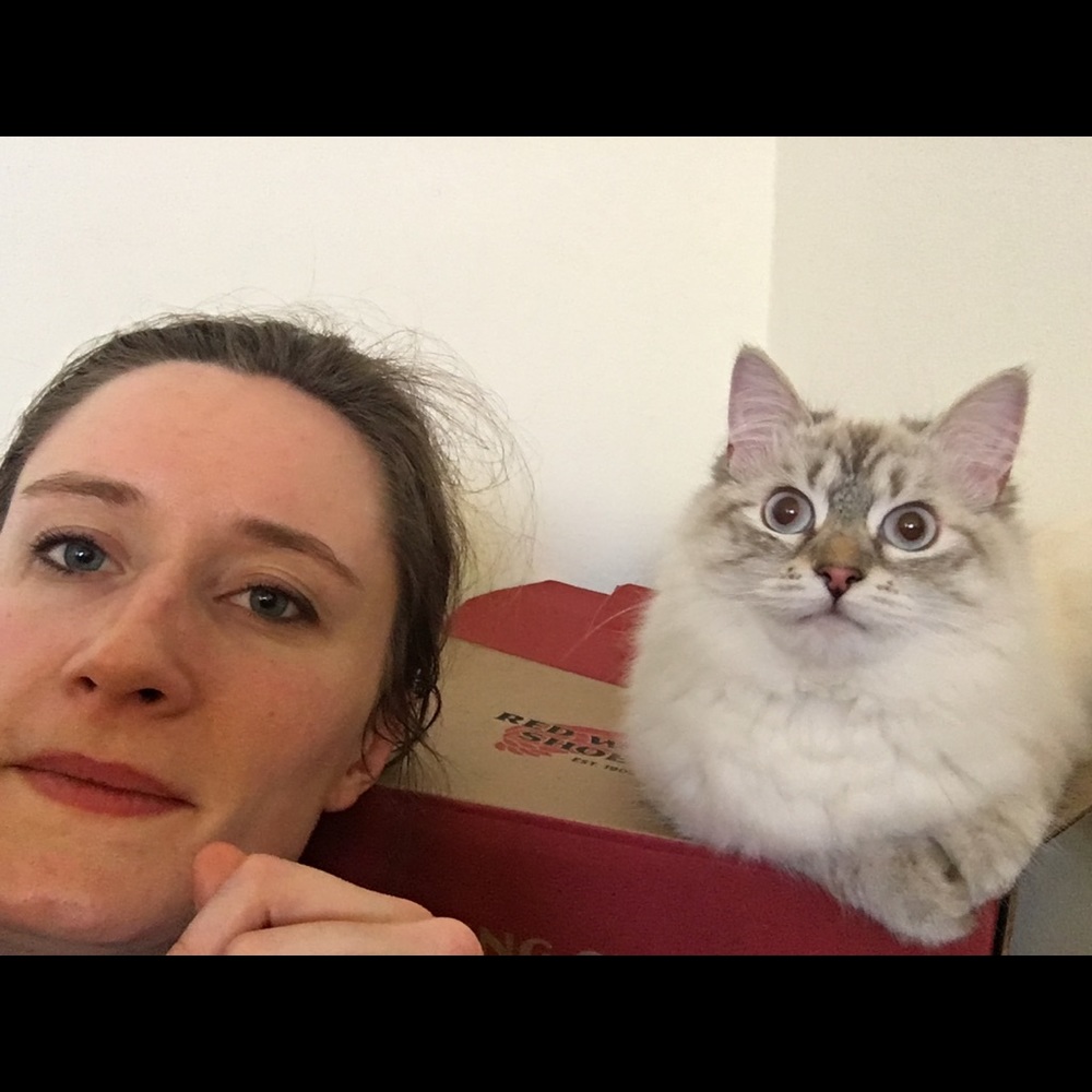 Meet your Posher, Anne